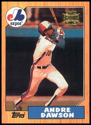 02TA 147 Andre Dawson.jpg